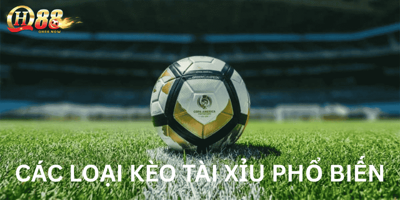 Các Loại Kèo Tài Xỉu Phổ Biến