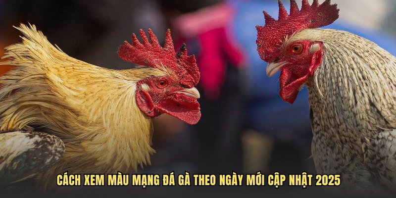 Cách xem màu mạng đá gà theo ngày mới cập nhật 2025