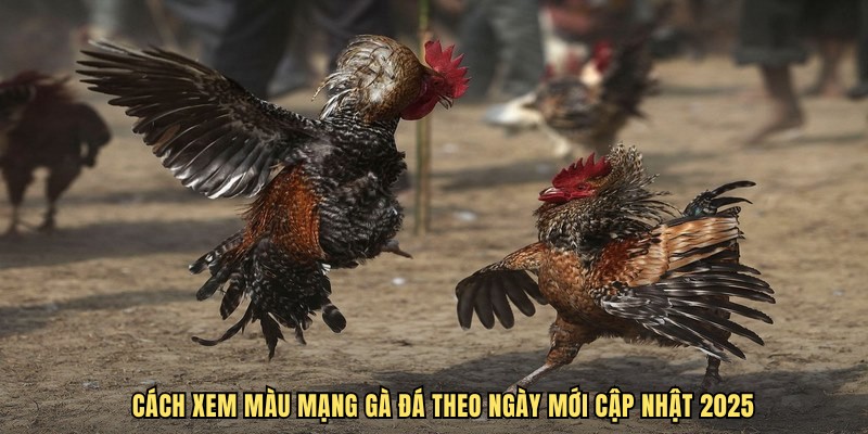 Cách Xem Màu Mạng Gà Đá Theo Ngày