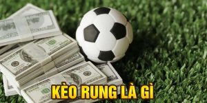 Kèo Rung Là Gì? Hướng Dẫn Bắt Kèo Rung Bóng Đá Chuẩn Xác Cho Người Mới