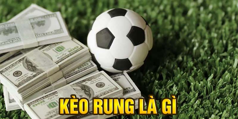 Kèo Rung Là Gì? Hướng Dẫn Bắt Kèo Rung Bóng Đá Chuẩn Xác Cho Người Mới