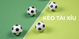 Kèo Tài Xỉu Là Gì? Hướng Dẫn Toàn Diện Cho Người Mới Bắt Đầu