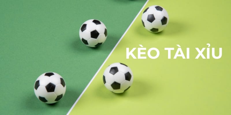Kèo Tài Xỉu Là Gì? Hướng Dẫn Toàn Diện Cho Người Mới Bắt Đầu