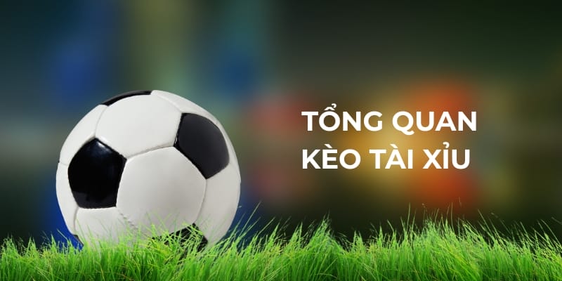Giới Thiệu Về Kèo Tài Xỉu